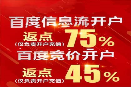 竞价推广中的着陆页策略：成功案例解读